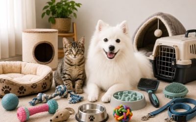 Top Considerations When Selecting Pet Supplies for Your Furry Friend